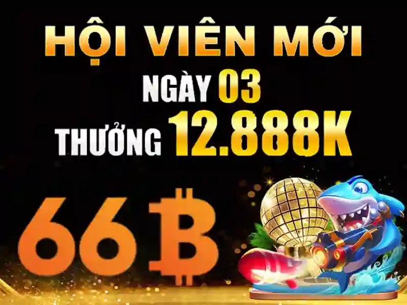 khuyến mãi - 66B
