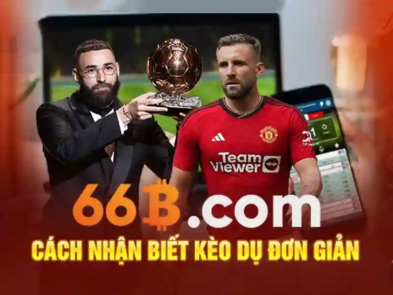 Điều Khoản Điều Kiện – Hiểu Để Chơi An Toàn Xóc Đĩa 66B - 66B