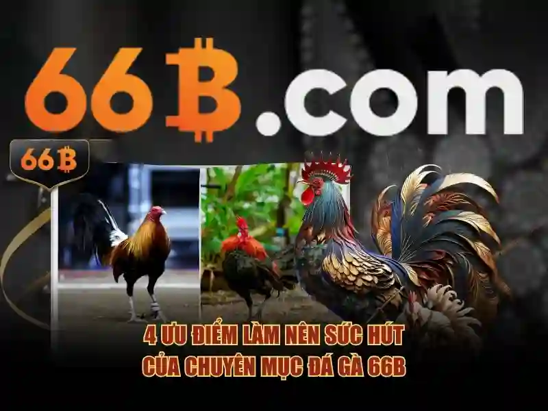 66b - Trải nghiệm cược trực tuyến đỉnh cao 2026