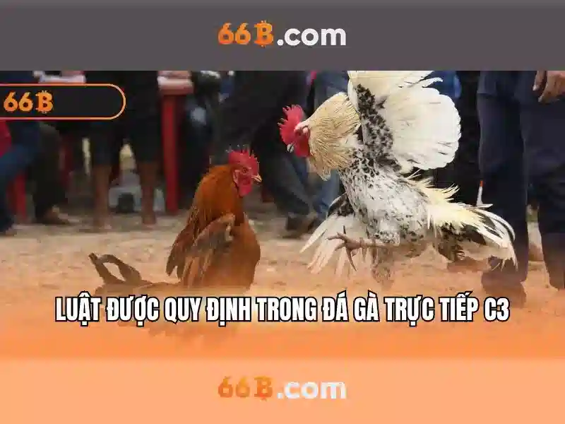 ứng dụng slot - 66B