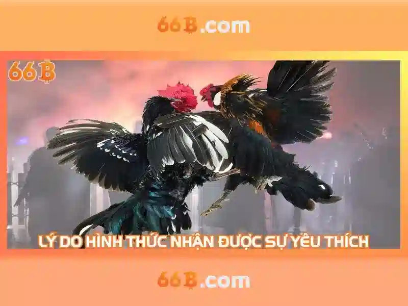 Khuyến Mãi Casino 66B – Cơ Hội Nhận Tiền Thưởng Giá Trị Cực Khủng - 66B