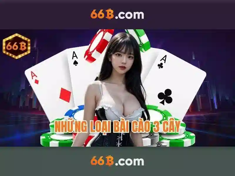  hỗ trợ 24/7 - 66B