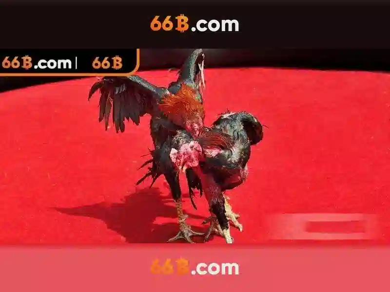 Cờ Vua 66B: Trải Nghiệm Slot Đa Dạng Với Tỷ Lệ Thưởng Cao Nhất Thị Trường 2026 - 66B