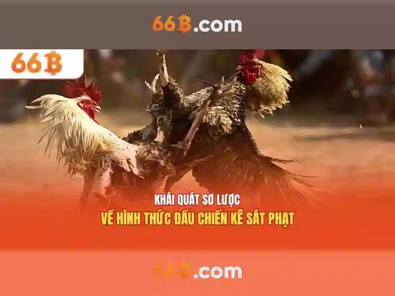  hướng dẫn nạp tiền 66B - 66B