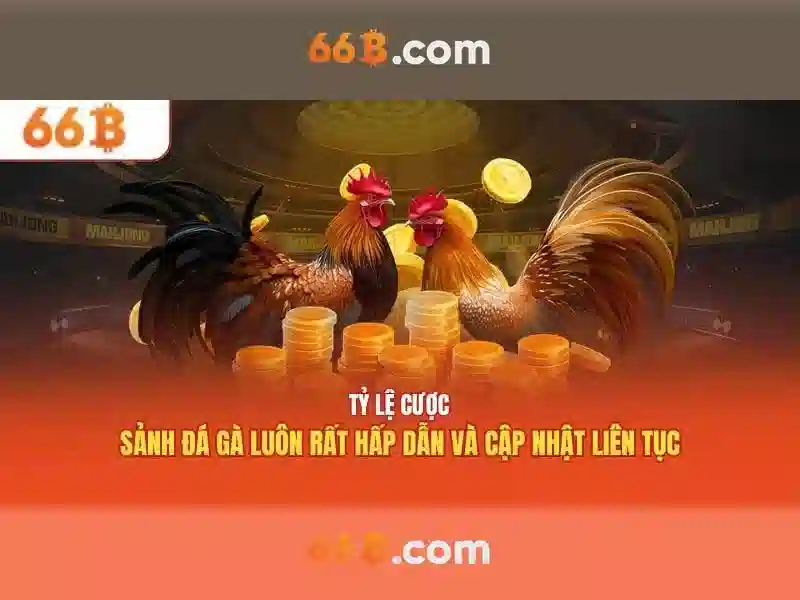  dịch vụ rút tiền - 66B