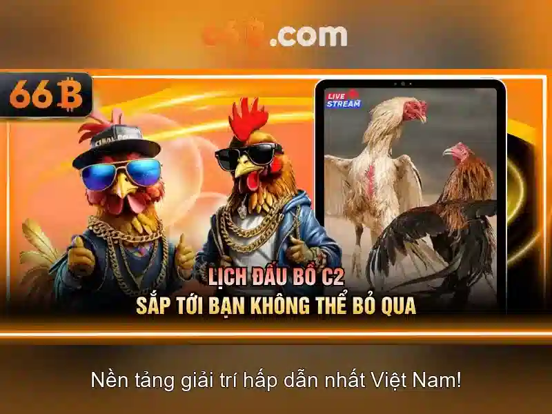 66b - Trải nghiệm cược trực tuyến đỉnh cao 2026