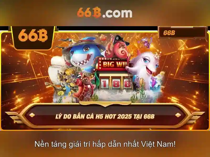  trải nghiệm - 66B