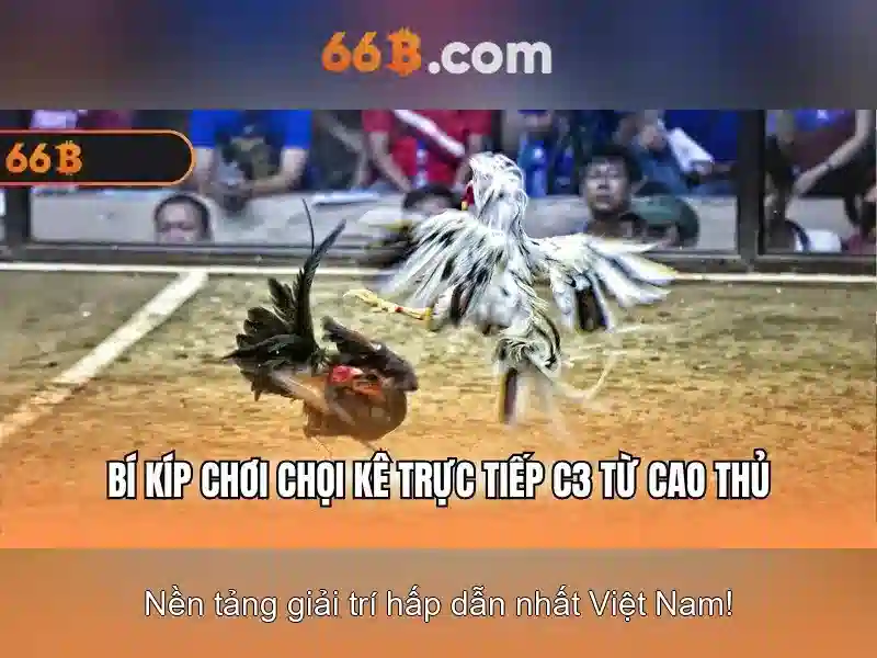 hướng dẫn 66B - 66B