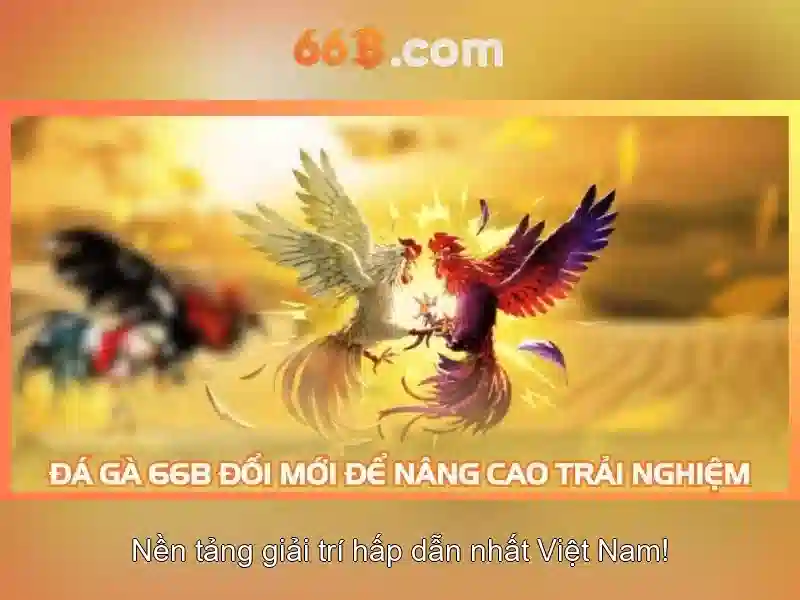 66b - Trải nghiệm cược trực tuyến đỉnh cao 2026