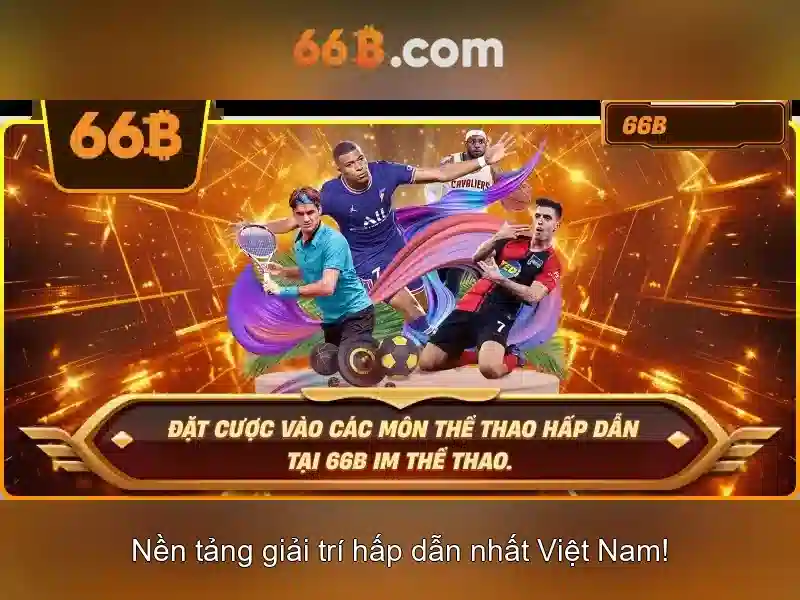  dịch vụ cá cược - 66B