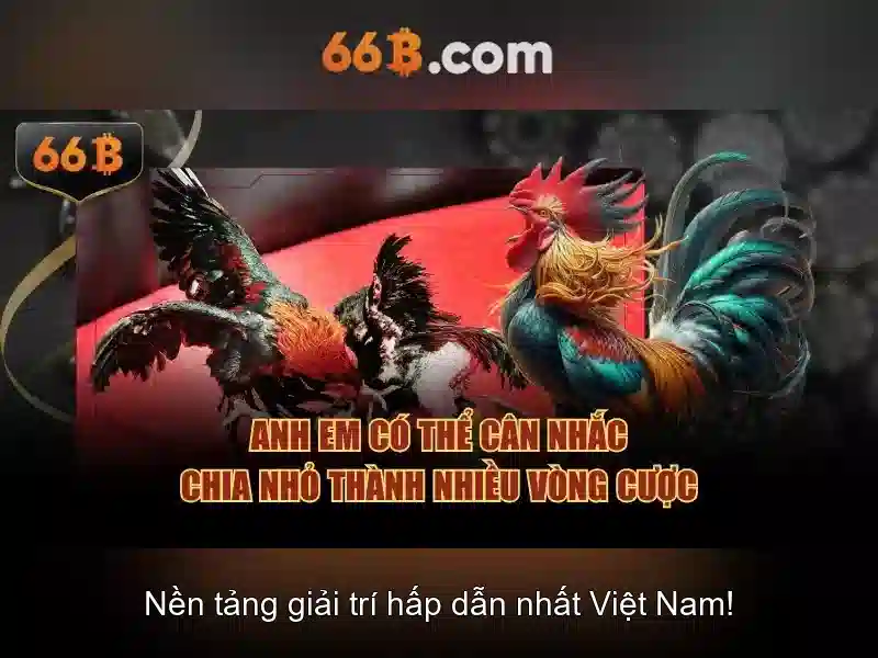  nhà cái 66B - 66B