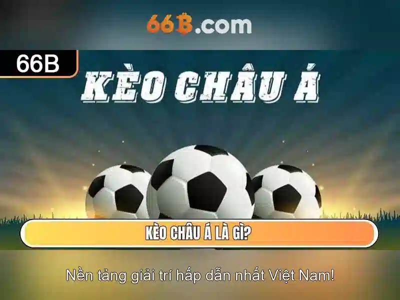  cá cược trực tuyến - 66B