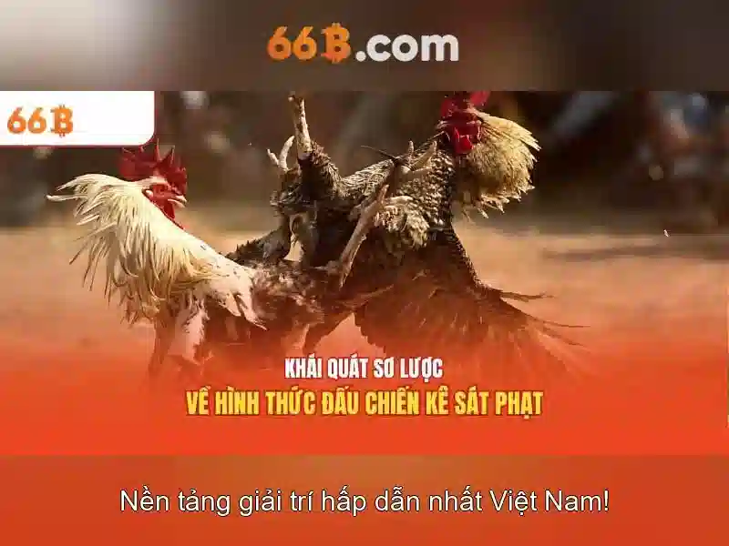 tài xỉu online - 66B