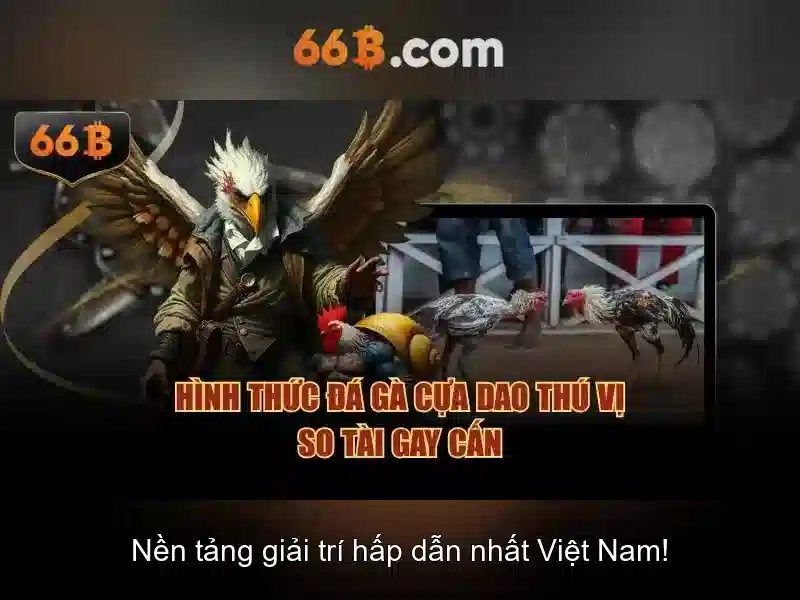 cờ vua 66b - 66B
