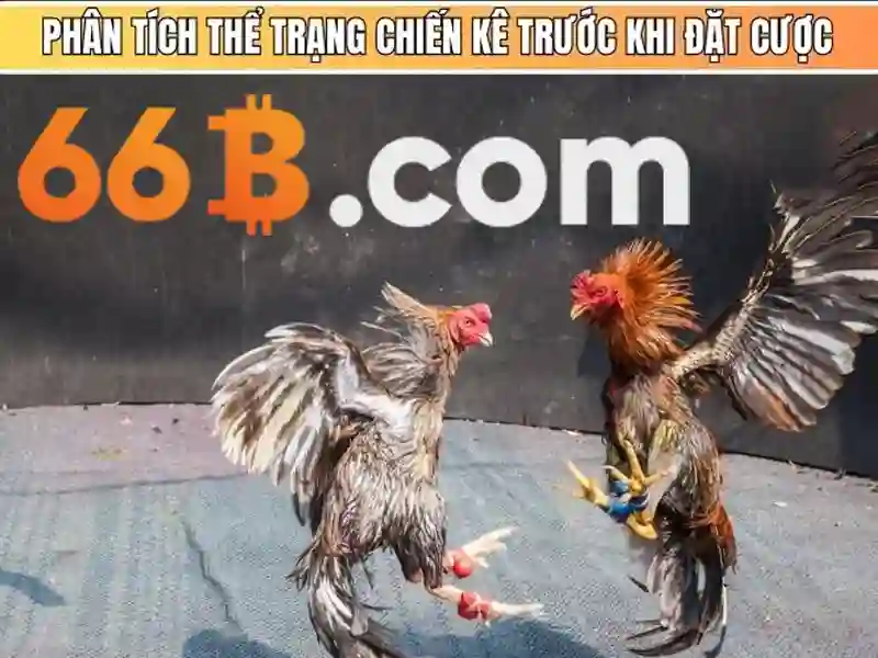 66B đăng ký - 66B