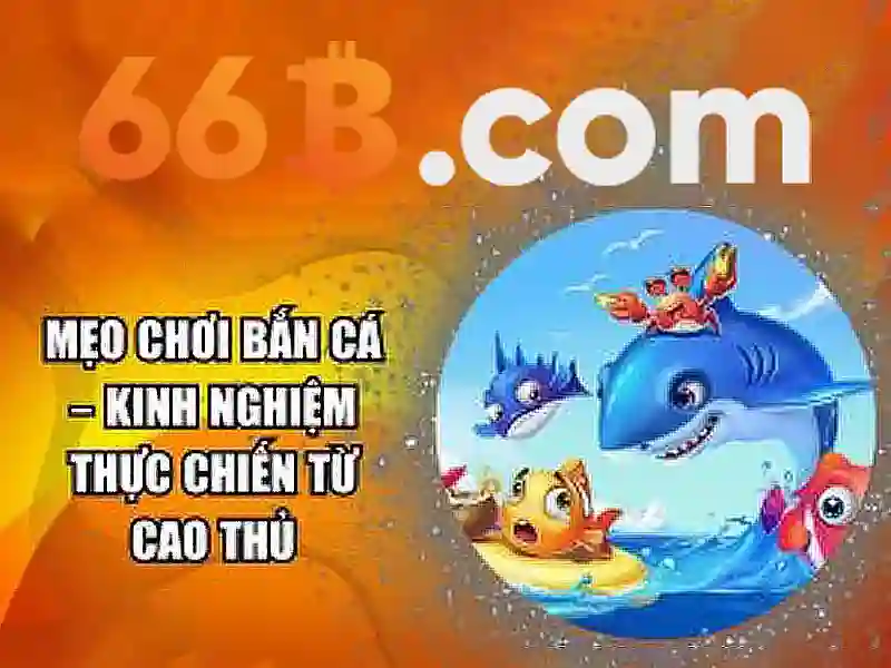 Đăng Ký 66B | Chi Tiết Các Bước & Lưu Ý Quan Trọng - 66B