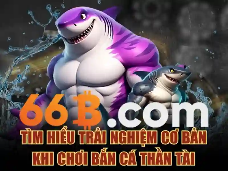  tài khoản 66b - 66B